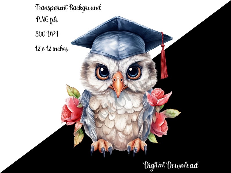 Graduation Clipart | Owl PNG| Graduation Cap PNG | Owl Nursery Wall Art ...