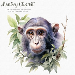 Acuarela Mono Clipart - Mono PNG - Para diarios basura, envoltura de secadora, diseños de camisetas y más - ¡Uso comercial gratuito!