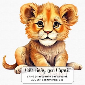Cute Baby Lion Clipart, Baby Safari PNG ideal para Lion Baby Shower, Animal Kingdom Shirt y más / PNG transparente / Uso comercial gratuito