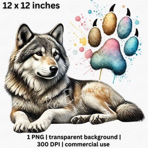 Aquarelle de loup majestueux PNG, clipart vibrant de patte d'éclaboussure, cadeau pour les amoureux des animaux, décoration d'intérieur Boho de la faune, fond Transparent PNG