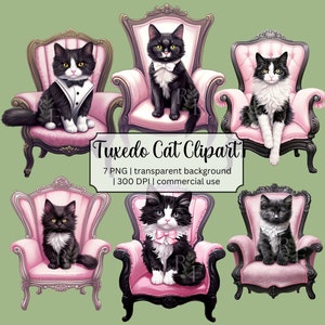 Chat de smoking dans une chaise rose | Clipart de chat de smoking | Clipart chat noir et blanc | Carte d'anniversaire de chat|Ensemble PNG transparent|Utilisation commerciale gratuite
