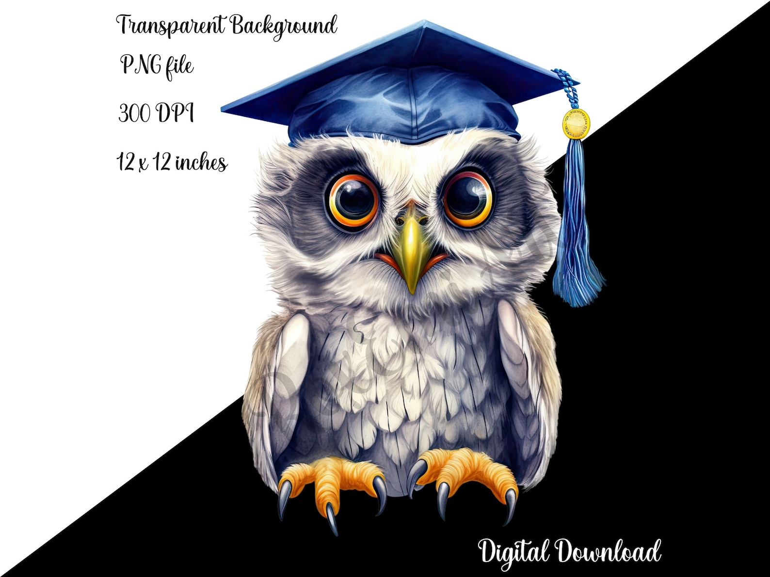 Graduation Clipart | Watercolor Owl PNG | Printable Bird | Graduation ...