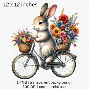Lp Cover Rabbit Riding A Bike Rack Whimsical Rabbit on Bicycle Clipart - Vibrant Floral Basket Digital Art ...