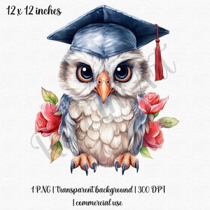Clipart de l'obtention du diplôme | Hibou PNG | Casquette de fin d'études PNG | Art mural chambre d'enfant hibou | Utilisation commerciale gratuite !