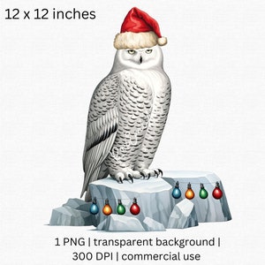 Harfang des neiges PNG, Hibou de Noël avec chapeau de Père Noël et décorations, Téléchargement numérique, Utilisation commerciale gratuite