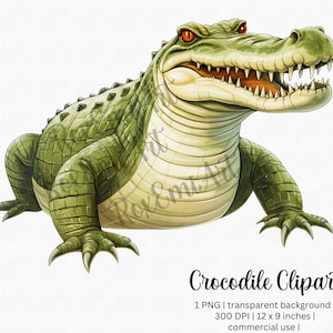 Cocodrilo Clipart / Alligator PNG / Safari Animal / Animal Kingdom Shirt y más / Elaboración digital / PNG transparente / Uso comercial gratuito