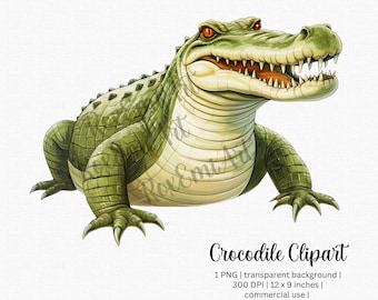 Krokodil-Alligator-Safari-Cliparts