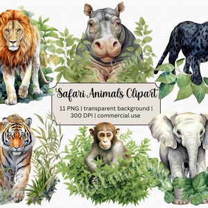 Wildlife Wonders: Exquisite Safari Animal Clipart Watercolor Bundle | African Animals Wildlife | Jungle Safari Animals PNG | Commercial Use