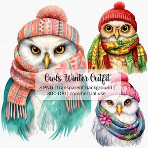 Aquarelle Hibou PNG, Clipart de harfang des neiges dans un chapeau d'hiver, fond Transparent, usage Commercial