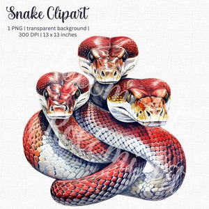 Clipart de cobra PNG - clipart de cobra de Halloween - design popular agora - para convites, álbuns de recortes, diários, tatuagens - uso comercial gratuito!