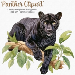 Panther Clipart - Black Panther PNG - Para diarios basura, envoltura de secadora, diseños de camisetas y más - ¡Uso comercial gratuito!