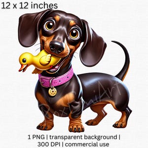 Adorable clipart teckel, illustration de chien mignon avec des cliparts jouet canard, image de chiot ludique pour les amoureux des chiens, fond Transparent PNG