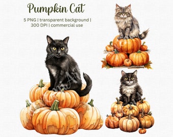 Cute cat with pumpkin clipart, Fall autumn thanksgiving clipart, Digital Download, Free commercial use!