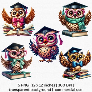 Adorable Academic Owl PNG, Cute Graduation Clipart, Scholar Owl Digital Art for Teachers, Students, and Owl Lovers, Transparent Background