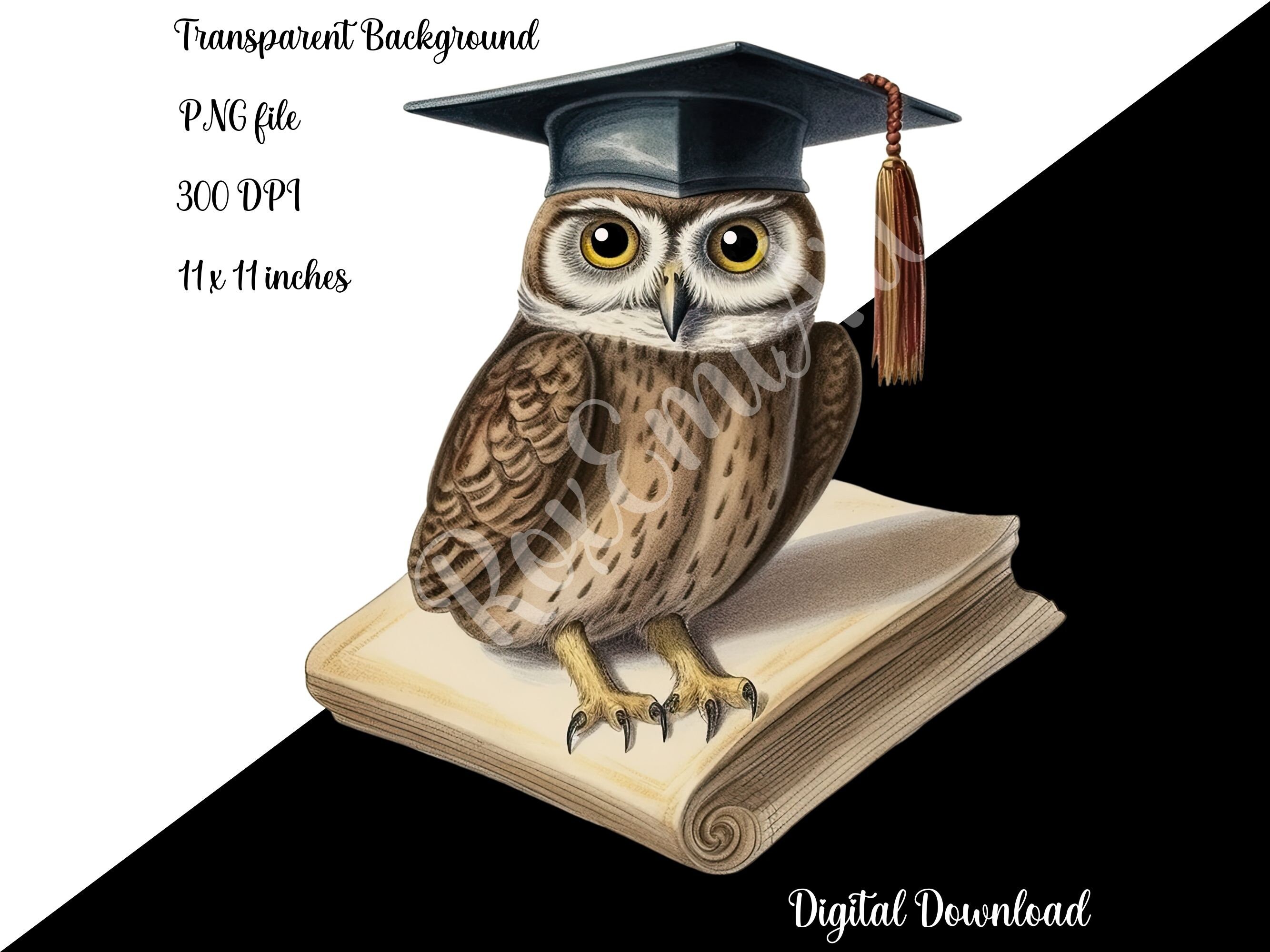 Graduation Clipart | Vintage Owl PNG | Graduation Books | Graduation ...