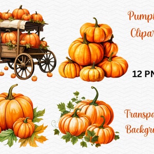 Watercolor pumpkin clipart, vegetable plants png bundle | Free Commercial Use!