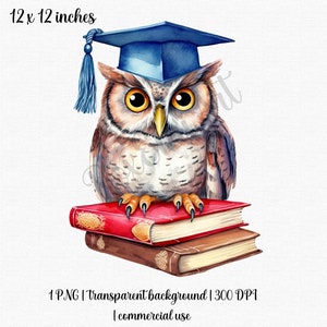 Clipart de l'obtention du diplôme | Chouette PNG | Casquette de fin d'études PNG | Cadeau pour diplômé | Livres de fin d'études | Utilisation commerciale gratuite !