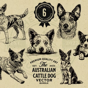 Australian Cattle Dog Pet, Puppy, and Peeking Dog Design Bundle, SVG, PNG, Digital Download, Cricut, Engraving, Commercial Use Clipart