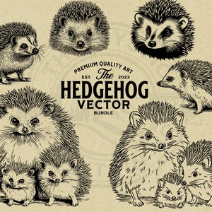 Egel vector dierlijke illustratie bundel, digitale download, gesneden bestand SVG PNG, commercieel gebruik, POD, kunst aan de muur, Cricut, laser, clipart, logo