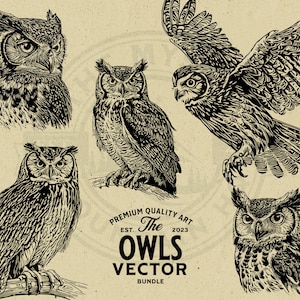 Owl Vector Illustration Bundle, Rustic and Vintage Design - Commercial Use - Instant Download - PNG, SVG, EPS for Print on Demand