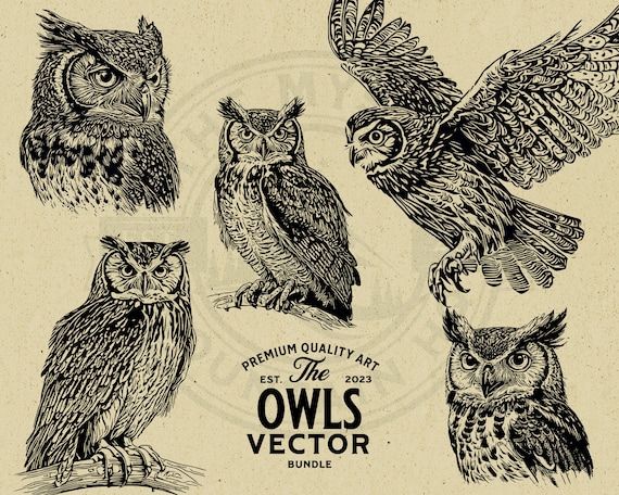 Vintage Owl Vector