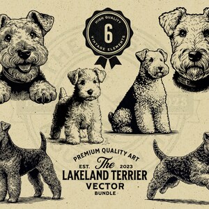 May include: Six vintage illustrations of Lakeland Terrier dogs in black and white. The illustrations are in various poses, including sitting, standing, and running. The illustrations are set against a beige background with the text "HIGH QUALITY", "VINTAGE ELEMENTS", "6", "PREMIUM QUALITY ART", "EST. The 2023 LAKELAND TERRIER VECTOR BUNDLE".