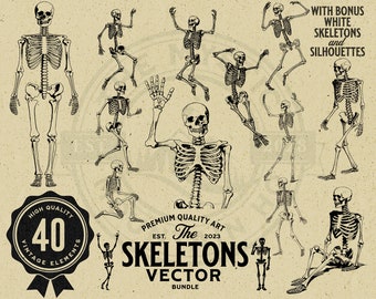 Vintage Skeleton Vector Illustration Bundle, Halloween Graphics (Digital Download)