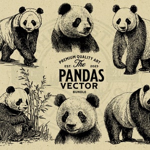 Panda Vector Animal Illustration Bundle, SVG, PNG, Instant Download Commercial Use, Print on Demand, Wall Art, Cricut, Clipart, Logo, Mugs