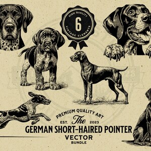 May include: Six black and white illustrations of German Shorthaired Pointers in various poses. The illustrations are in a vintage style and are perfect for use in a variety of projects.