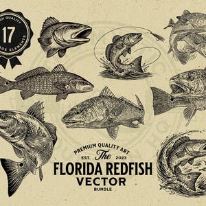 May include: A collection of vintage-style illustrations of Florida Redfish in various poses. The black and white drawings include fish jumping, swimming, and detailed views. The design includes text that reads "Florida Redfish Vector Bundle" and "High Quality 17 Vintage Elements."