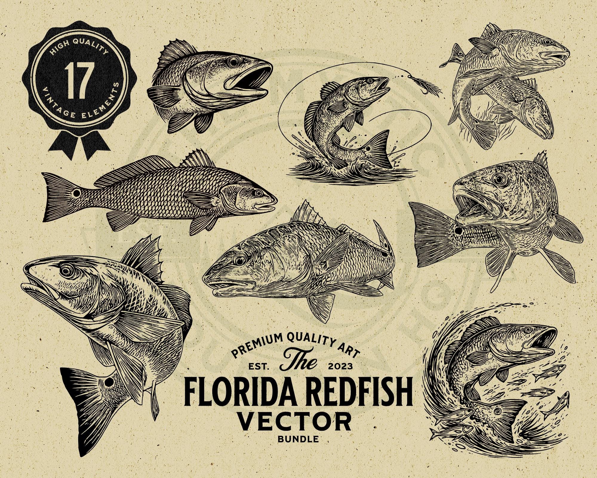 Redfish Vector Art - Etsy