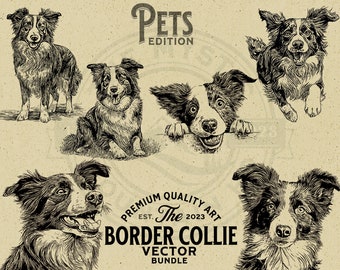 Border Collie with Peeking Pet Dog Vector Animal Illustration Bundle, SVG, PNG, Digital Download, Wall Art, Cricut, Clipart, Logo, POD,