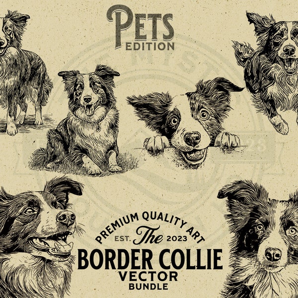 Border Collie with Peeking Pet Dog Vector Animal Illustration Bundle, SVG, PNG, Digital Download, Wall Art, Cricut, Clipart, Logo, POD,