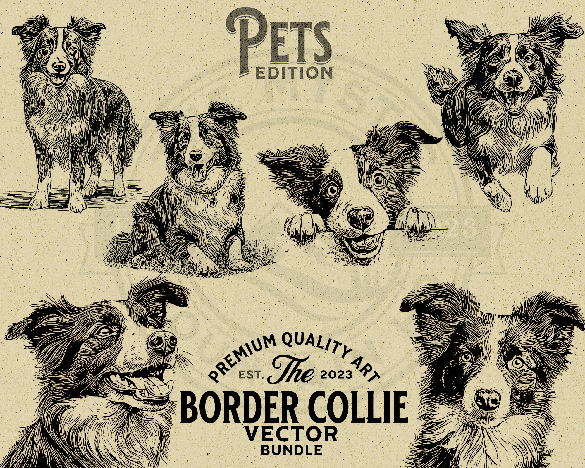 Border Collie with Peeking Pet Dog Vector Animal Illustration Bundle, SVG, PNG, Digital Download, Wall Art, Cricut, Clipart, Logo, POD,
