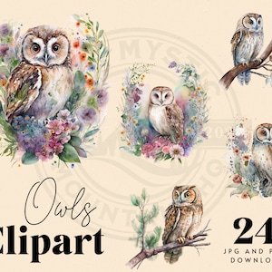 Ensemble d'illustrations numériques clipart chouette mignon, oeuvre d'art pour chambre d'enfant, créations numériques et papier, journal indésirable, cartes, impression à la demande, ensemble PNG JPG