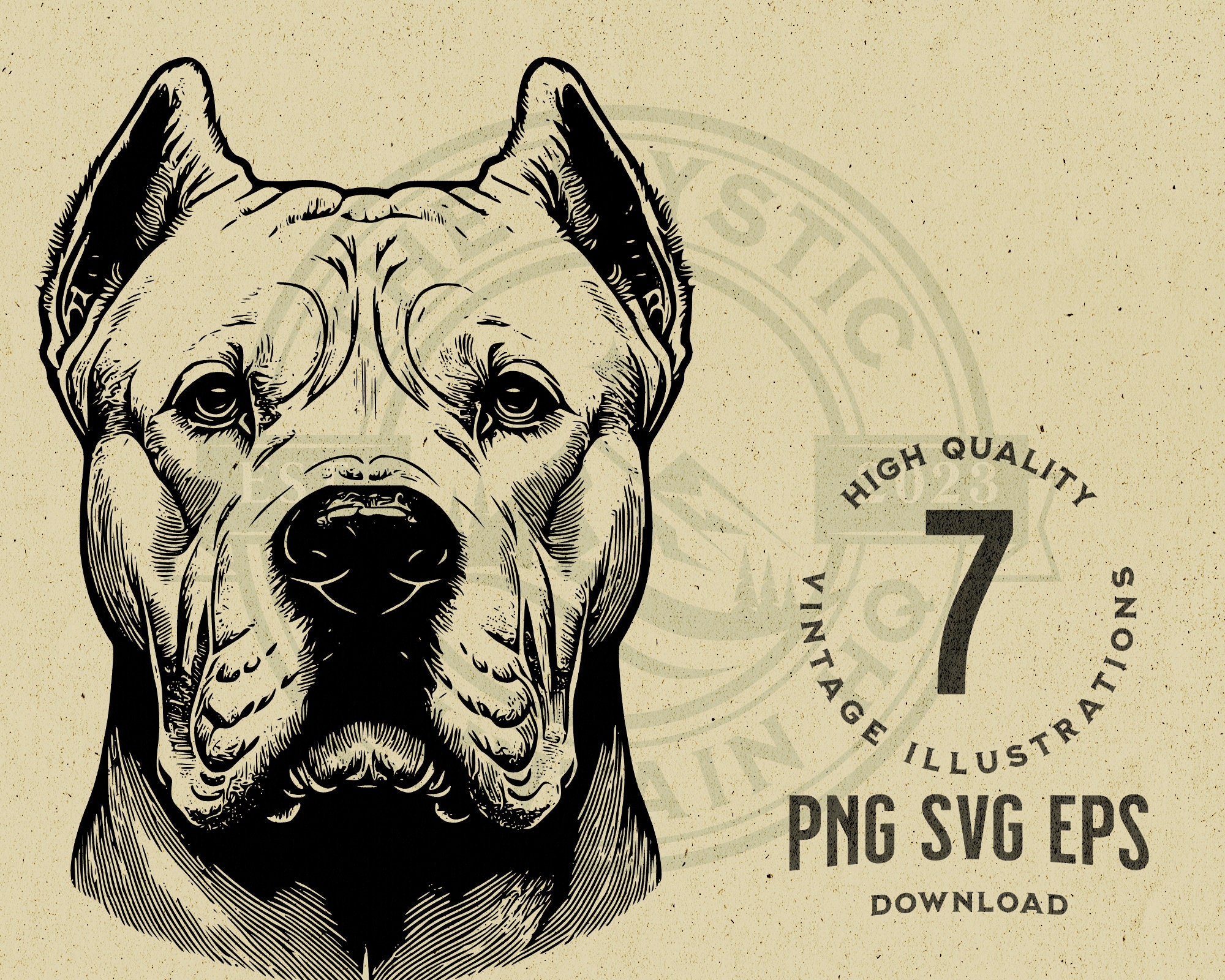Dogo Argentino Vector Art, Puppy & Peeking Dog Bundle (digital