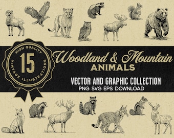 Vintage Woodland Animal Illustrations, Vector Art Bundle (SVG, PNG, EPS)