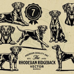 Könnte beinhalten: Ein Vektor-Bundle mit sieben schwarz-weißen Illustrationen von Rhodesian Ridgeback-Hunden in verschiedenen Posen. Enthält ein Abzeichen mit der Aufschrift "High Quality 7 Vintage Elements" und ein weiteres mit "Premium Quality Art Est. The 2023 Rhodesian Ridgeback Vector Bundle."
