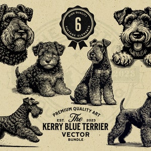 Lot d'oeuvres d'art vectorielles Kerry Blue Terrier, chiot et chien furtif (téléchargement numérique)