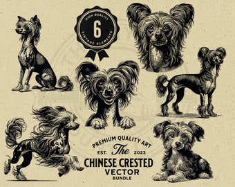 May include: Six black and white illustrations of Chinese Crested dogs in various poses. The illustrations are in a vintage style and are part of a vector bundle.