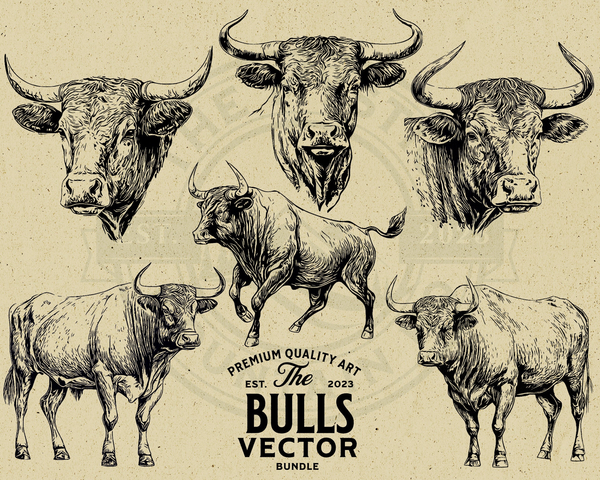 Vintage Bull Vector Illustration Bundle, SVG PNG (digital Download