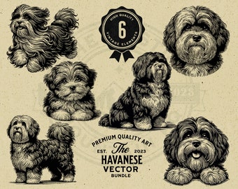 Può includere: Sei illustrazioni vintage di cani Havanese in bianco e nero. Le illustrazioni sono in varie pose, tra cui seduti, in piedi e sdraiati. Il testo "The Havanese Vector Bundle" è nella parte inferiore dell'immagine.