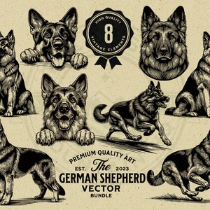 Pacote de ilustração vetorial de cão pastor alemão, SVG, PNG, download digital, camiseta, arte de parede, Cricut, clipart, logotipo, caneca, POD