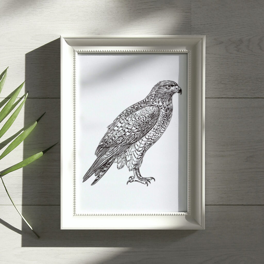 Hawk Vector Illustration Bundle, Cut File, SVG PNG (digital Download ...