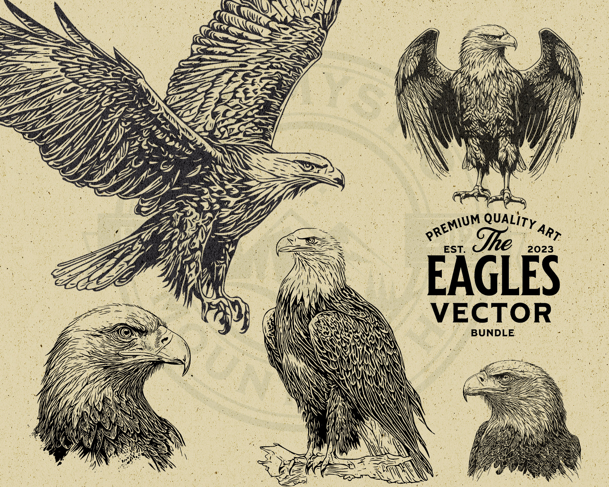 american-bald-eagle-vector-illustration-bundle-rustic-and-vintage-design-instant-download-png-svg-eps-great-for-print-on-demand-etsy
