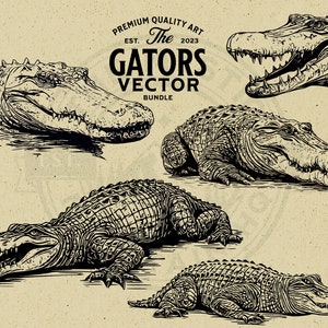 American Alligator Vector Animal Illustration Bundle, Vintage, Cut File, SVG, PNG, Commercial Use, POD, Wall Art, Cricut, Clipart, Logo
