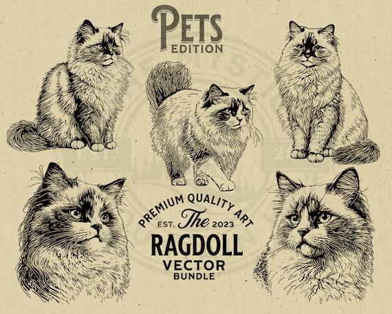 Ragdoll Cat Vector Illustration Bundle, SVG, PNG (digital Download