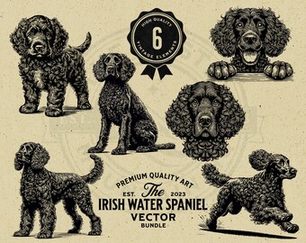 Op de afbeelding: Zes zwart-wit illustraties van Irish Water Spaniels in verschillende poses. De illustraties zijn in vintage stijl en perfect voor gebruik in verschillende projecten.