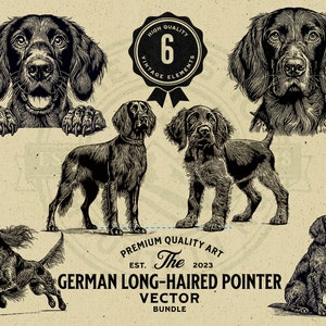 German Long-haired Pointer Pet, Puppy, and Peeking Dog Design Bundle, SVG, PNG, Digital Download, Commercial Use, Cricut, Laser, Engraving