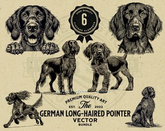 German Long-haired Pointer Vector Art, Puppy & Peeking Dog (Digital Download)
